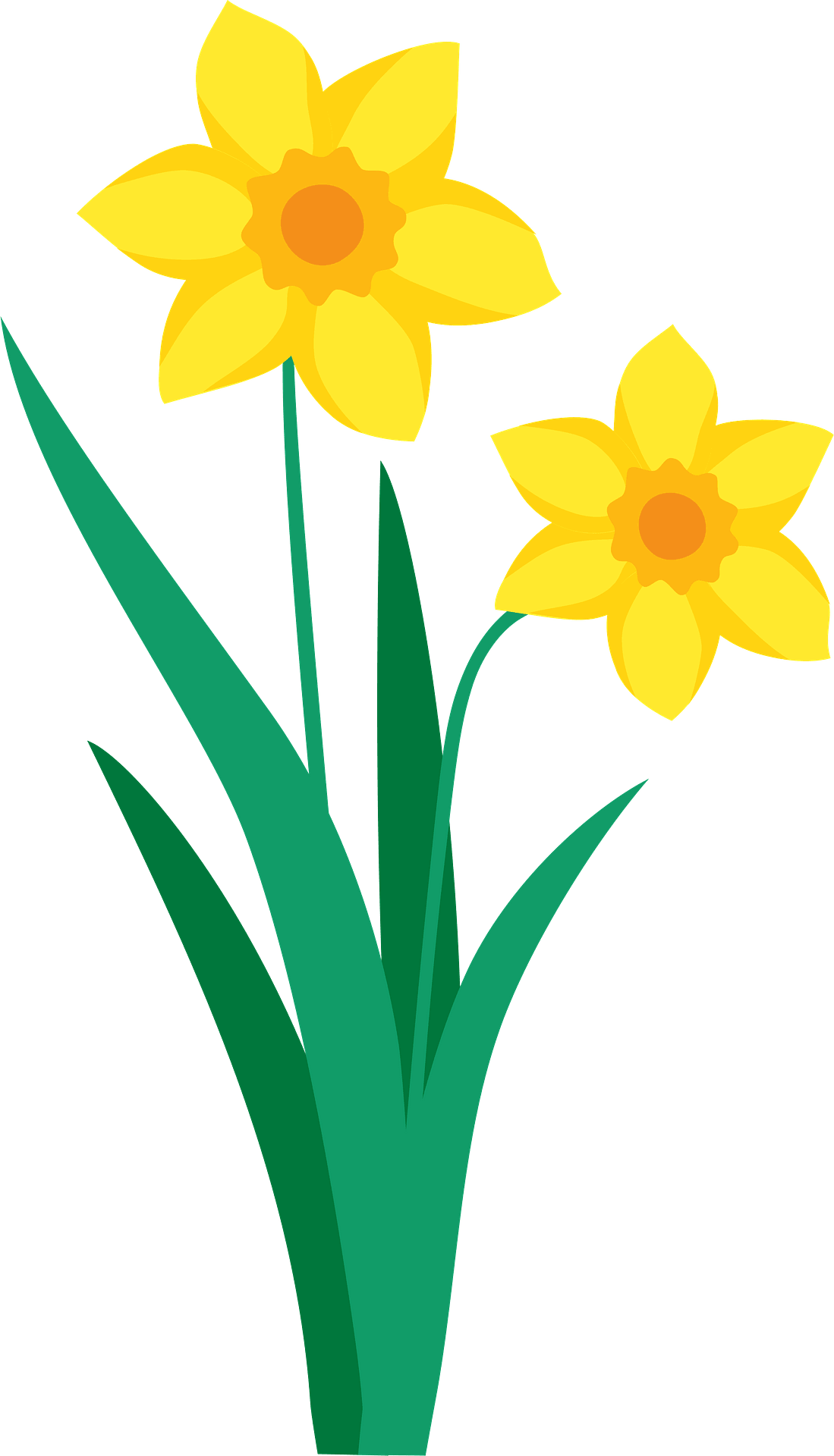 Daffodil Clipart Xl